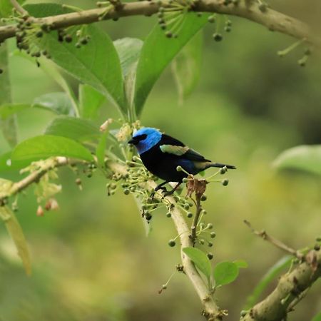 Вилла Finca Jardin Del Agua Сасайма Экстерьер фото