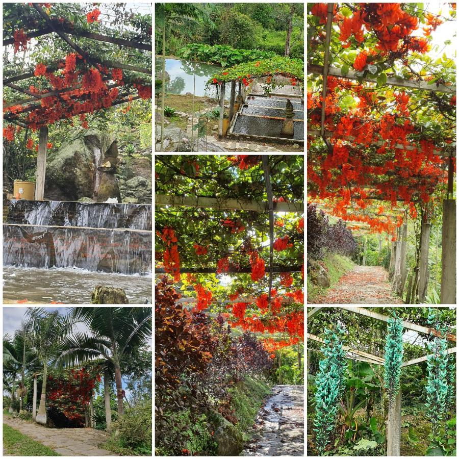 Finca Jardin Del Agua Сасайма Экстерьер фото