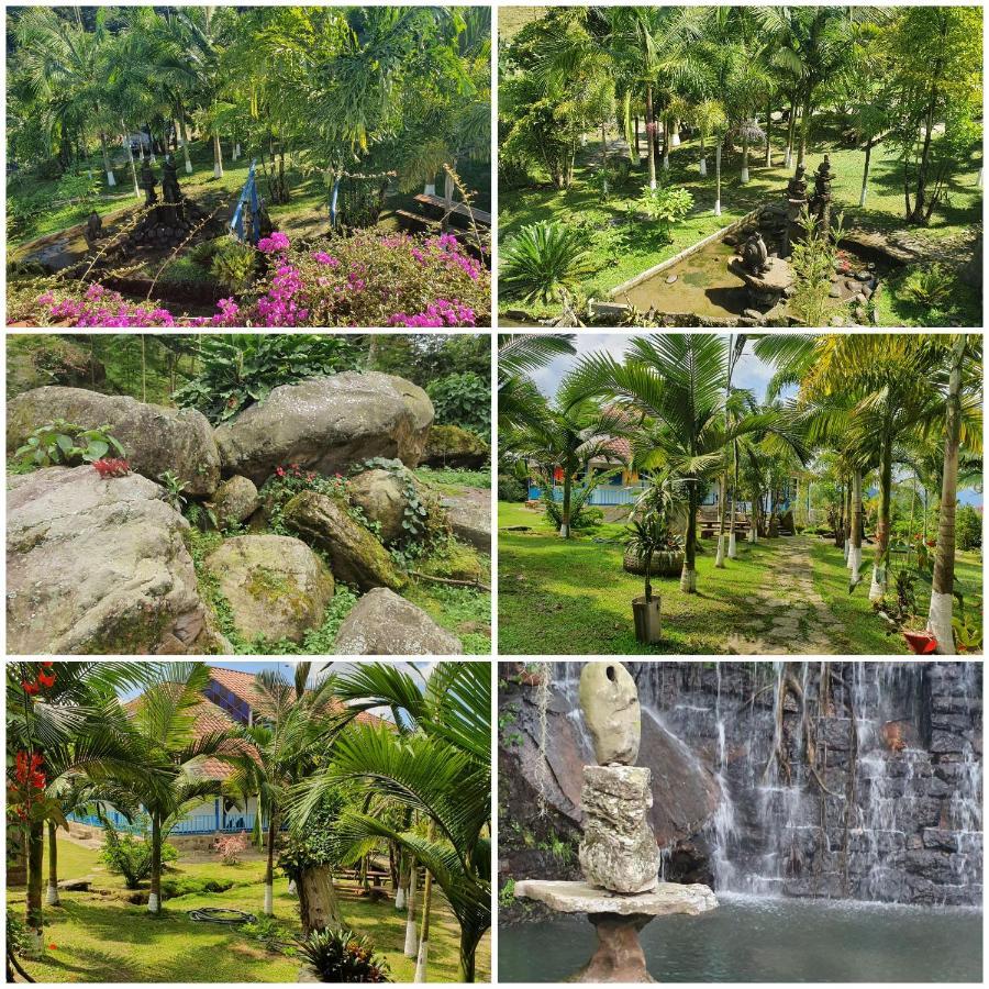 Finca Jardin Del Agua Сасайма Экстерьер фото