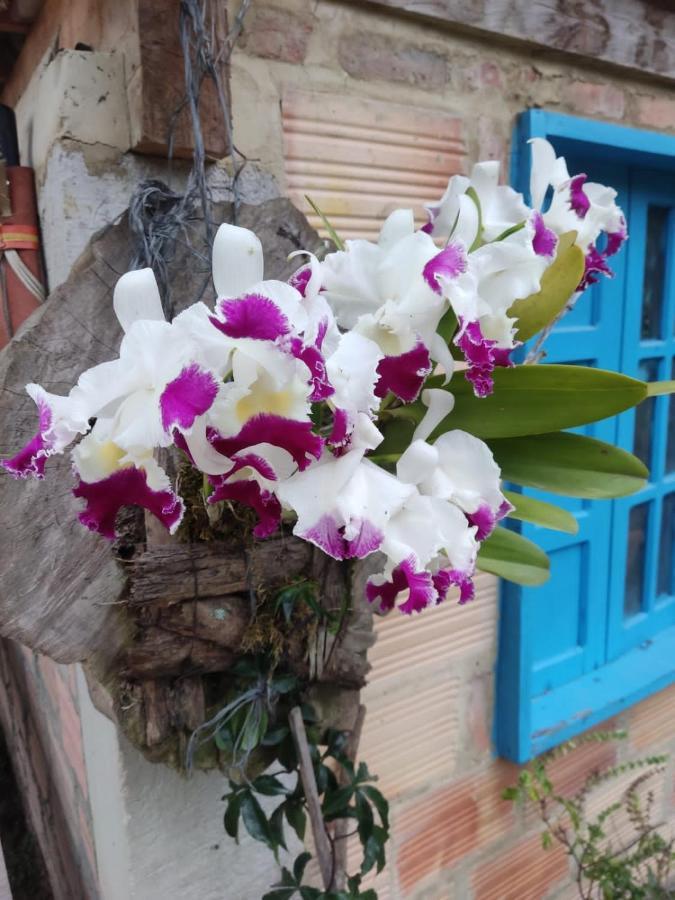 Finca Jardin Del Agua Сасайма Экстерьер фото