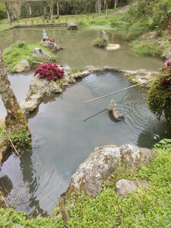 Вилла Finca Jardin Del Agua Сасайма Экстерьер фото