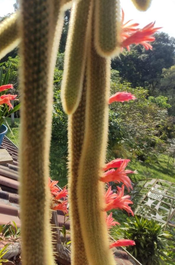 Finca Jardin Del Agua Сасайма Экстерьер фото