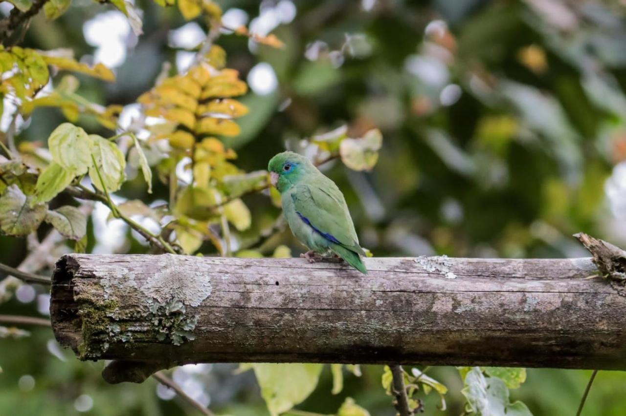 Finca Jardin Del Agua Сасайма Экстерьер фото