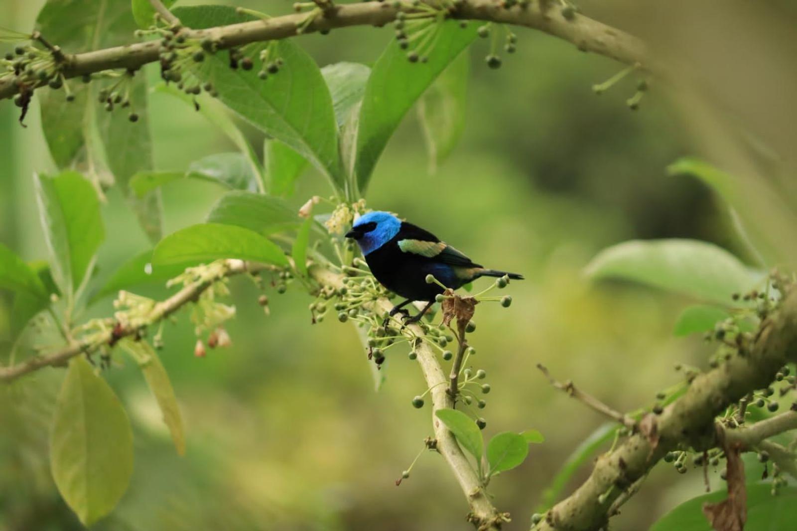 Finca Jardin Del Agua Сасайма Экстерьер фото