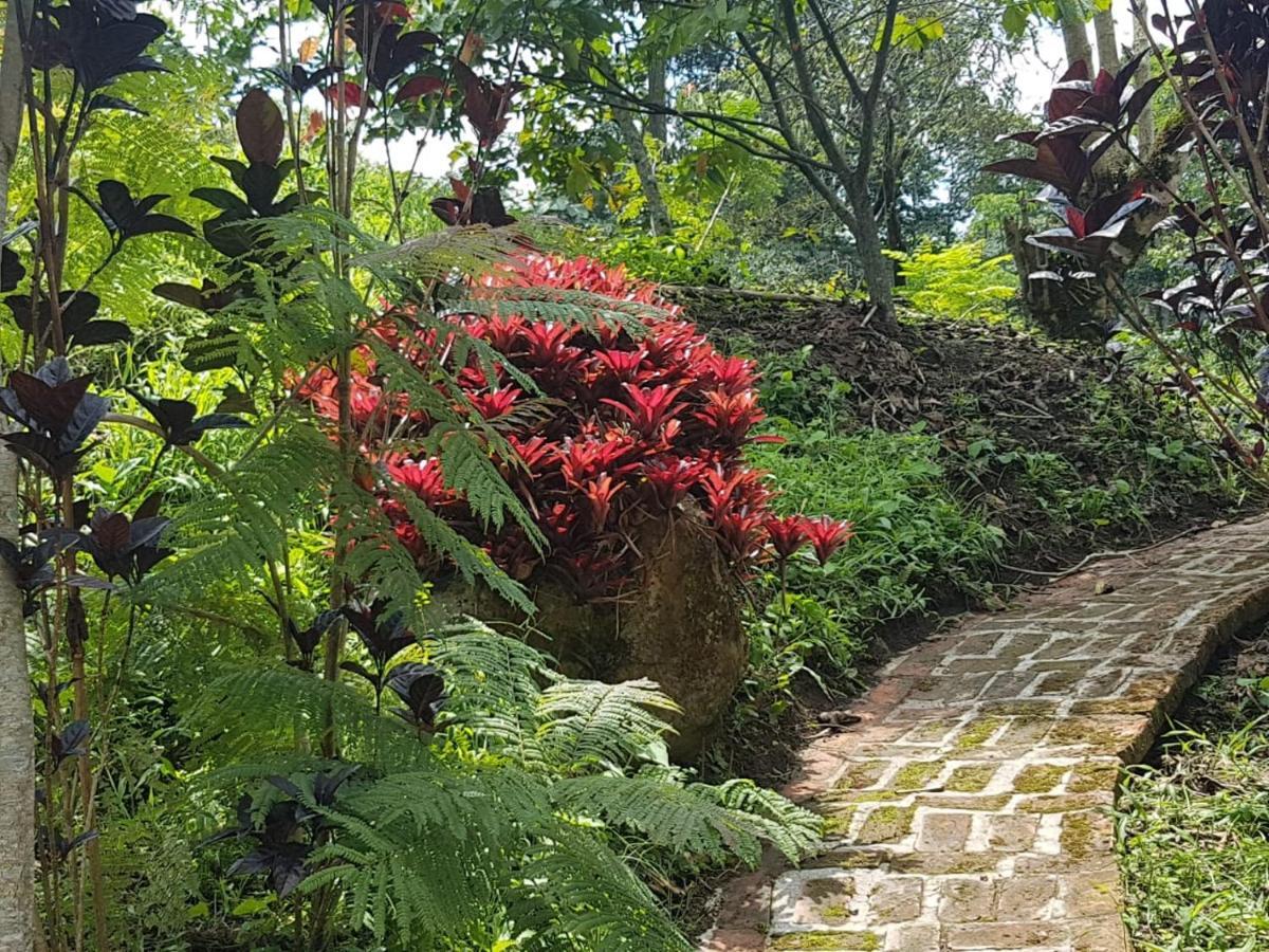 Finca Jardin Del Agua Сасайма Экстерьер фото