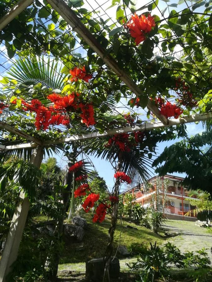 Finca Jardin Del Agua Сасайма Экстерьер фото