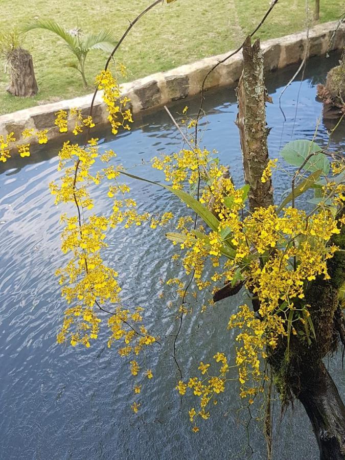 Вилла Finca Jardin Del Agua Сасайма Экстерьер фото