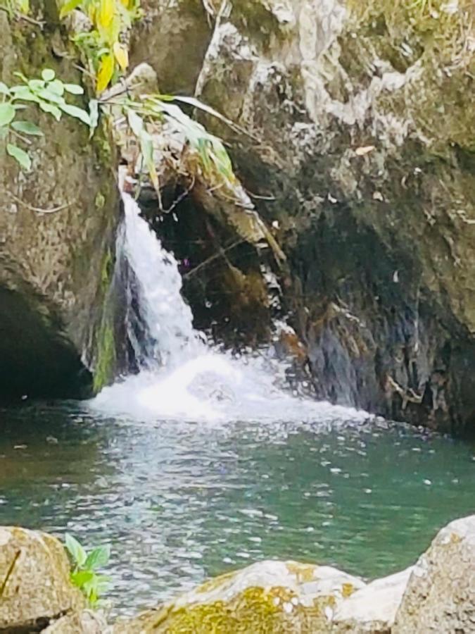 Вилла Finca Jardin Del Agua Сасайма Экстерьер фото