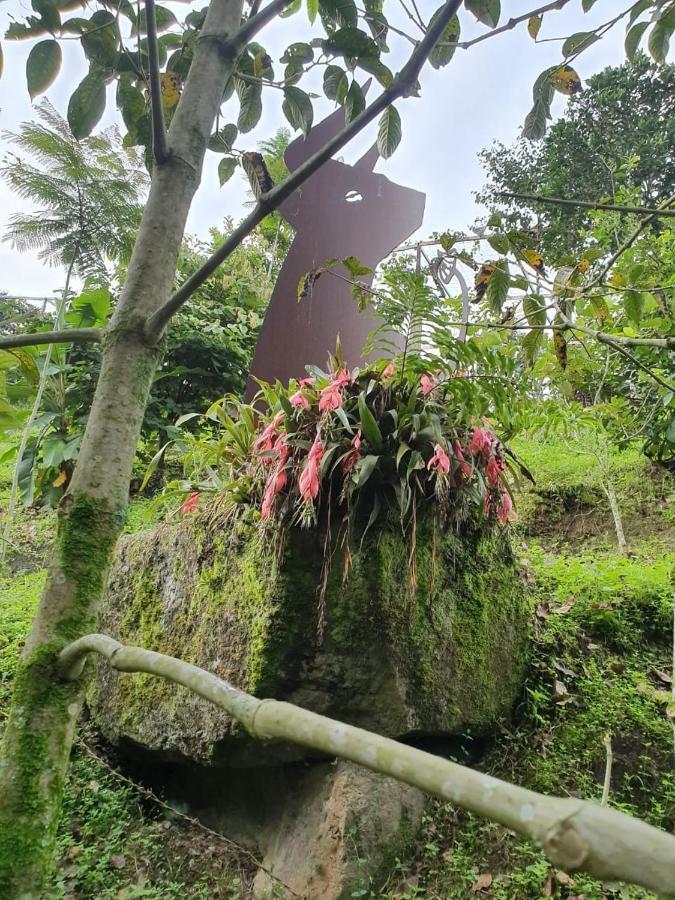 Finca Jardin Del Agua Сасайма Экстерьер фото