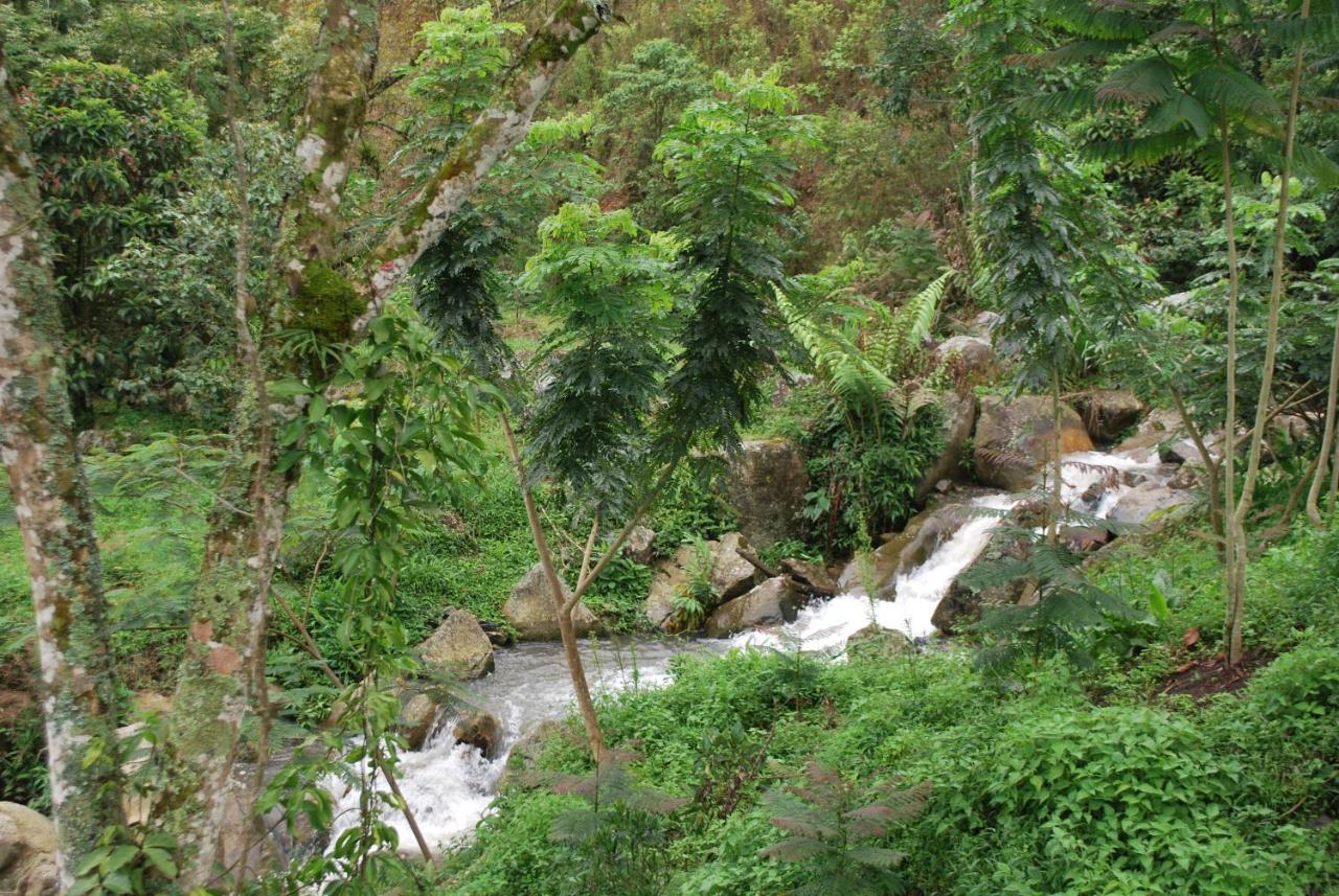 Вилла Finca Jardin Del Agua Сасайма Экстерьер фото