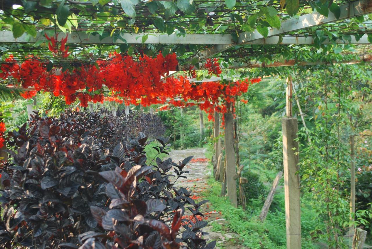 Вилла Finca Jardin Del Agua Сасайма Экстерьер фото