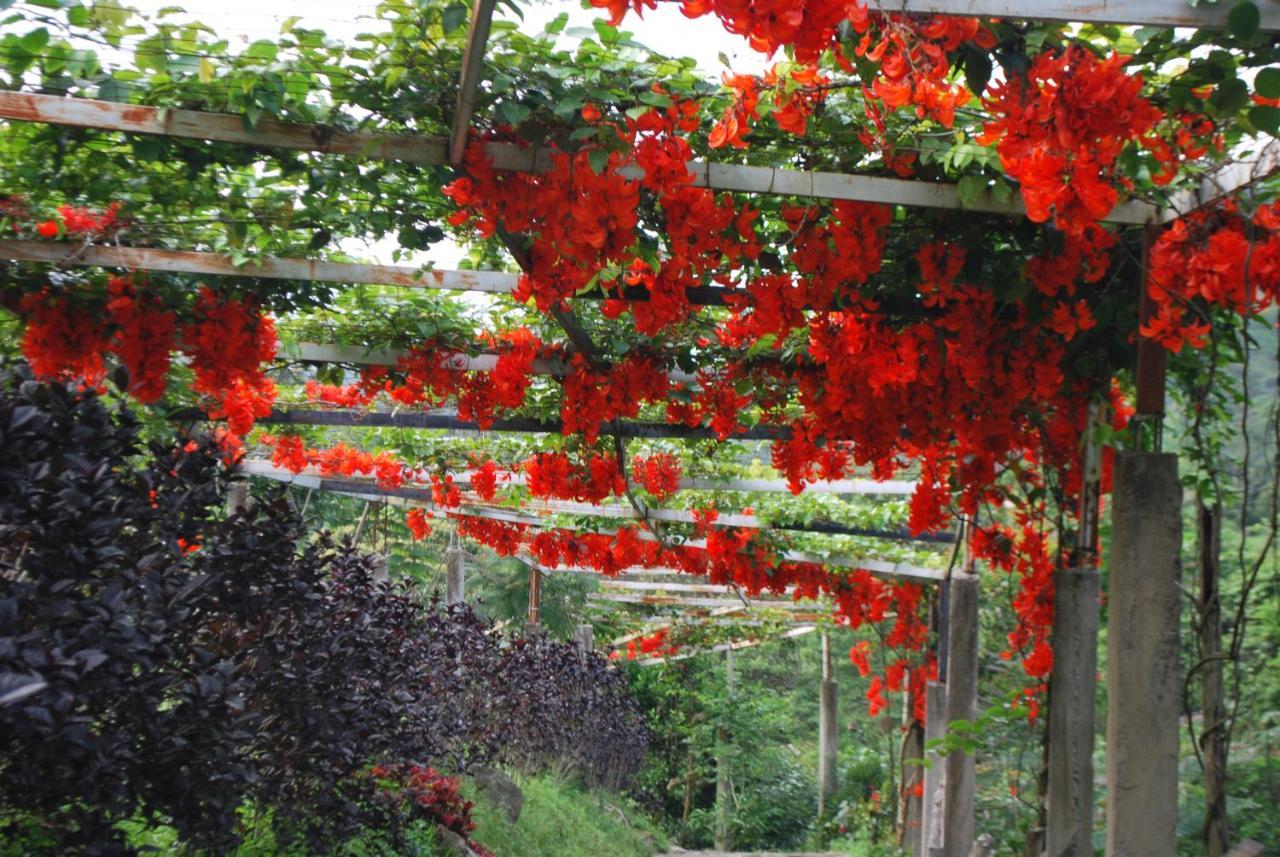 Вилла Finca Jardin Del Agua Сасайма Экстерьер фото