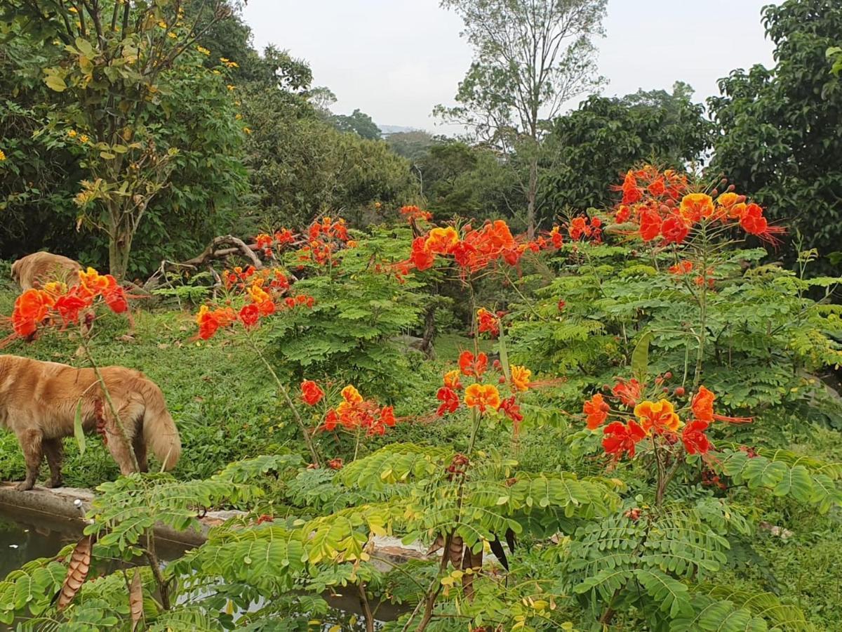 Finca Jardin Del Agua Сасайма Экстерьер фото