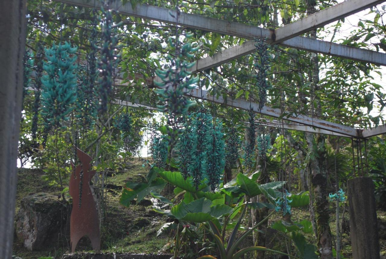 Finca Jardin Del Agua Сасайма Экстерьер фото